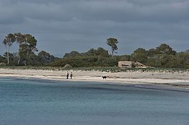 DSC03394 -1_t.jpg